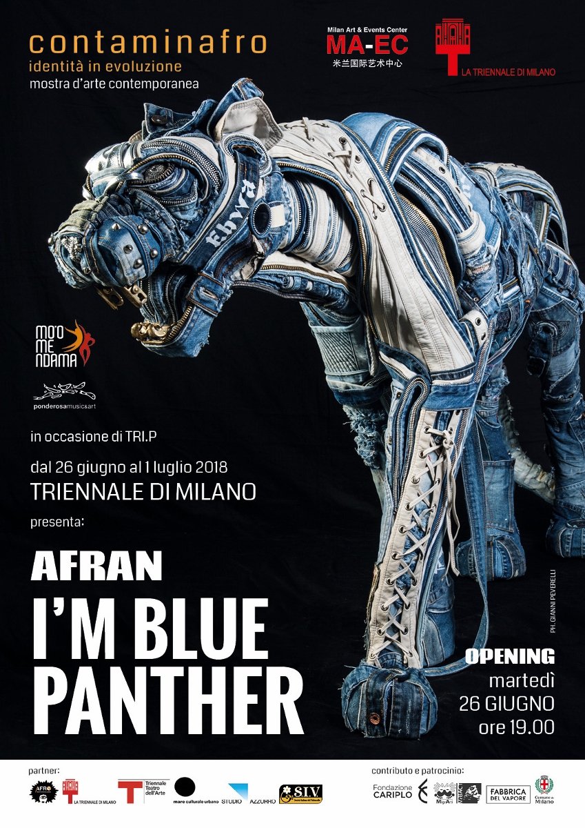 Afran - I’m Blue Panther